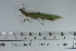  ( - DB23-10a)  @11 [ ] c (2022) Unspecified Specimen depository of the Graduate School of Science, Nagoya City University