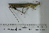  ( - DB24-1)  @11 [ ] c (2022) Unspecified Specimen depository of the Graduate School of Science, Nagoya City University