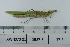  ( - DB36-14)  @11 [ ] c (2022) Unspecified Specimen depository of the Graduate School of Science, Nagoya City University