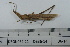  ( - DB41-13)  @11 [ ] c (2022) Unspecified Specimen depository of the Graduate School of Science, Nagoya City University