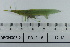  ( - DB12-18)  @11 [ ] c (2022) Unspecified Specimen depository of the Graduate School of Science, Nagoya City University
