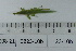  ( - DB23-10b)  @11 [ ] c (2022) Unspecified Specimen depository of the Graduate School of Science, Nagoya City University