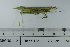  ( - DB23-12c)  @11 [ ] c (2022) Unspecified Specimen depository of the Graduate School of Science, Nagoya City University