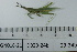  ( - DB23-24b)  @11 [ ] c (2022) Unspecified Specimen depository of the Graduate School of Science, Nagoya City University