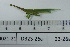  ( - DB23-26a)  @11 [ ] c (2022) Unspecified Specimen depository of the Graduate School of Science, Nagoya City University