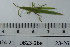  ( - DB23-26e)  @11 [ ] c (2022) Unspecified Specimen depository of the Graduate School of Science, Nagoya City University
