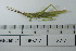  ( - DB37-7)  @11 [ ] c (2022) Unspecified Specimen depository of the Graduate School of Science, Nagoya City University