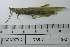  ( - DB5-2)  @11 [ ] c (2022) Unspecified Specimen depository of the Graduate School of Science, Nagoya City University