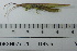  ( - DB5-6)  @11 [ ] c (2022) Unspecified Specimen depository of the Graduate School of Science, Nagoya City University