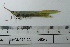  ( - DB5-8)  @11 [ ] c (2022) Unspecified Specimen depository of the Graduate School of Science, Nagoya City University