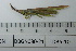  ( - DB5-10)  @11 [ ] c (2022) Unspecified Specimen depository of the Graduate School of Science, Nagoya City University