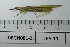  ( - DB5-11)  @11 [ ] c (2022) Unspecified Specimen depository of the Graduate School of Science, Nagoya City University