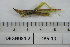  ( - DB5-19)  @11 [ ] c (2022) Unspecified Specimen depository of the Graduate School of Science, Nagoya City University