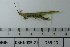  ( - DB5-20)  @11 [ ] c (2022) Unspecified Specimen depository of the Graduate School of Science, Nagoya City University