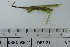  ( - DB5-21)  @11 [ ] c (2022) Unspecified Specimen depository of the Graduate School of Science, Nagoya City University