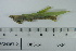  ( - DB6-14)  @11 [ ] c (2022) Unspecified Specimen depository of the Graduate School of Science, Nagoya City University