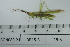 ( - DB15-3)  @11 [ ] c (2022) Unspecified Specimen depository of the Graduate School of Science, Nagoya City University
