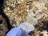  ( - Ak10-5)  @11 [ ] Copyright (2025) Unspecified Middle East Technical University, Institute of Marine Sciences