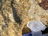  ( - Ak10-9)  @11 [ ] Copyright (2025) Unspecified Middle East Technical University, Institute of Marine Sciences