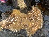  ( - D1-3)  @11 [ ] Copyright (2025) Unspecified Middle East Technical University, Institute of Marine Sciences