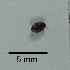  ( - LBN3-2)  @11 [ ] c (2023) Unspecified Specimen depository of the Graduate School of Science, Nagoya City University