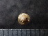  (Parasitala - DBLSA_NL164)  @11 [ ] Copyright (2025) Unspecified Nagoya City University, Graduate School of Science
