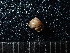  ( - DBLSA_NL327)  @11 [ ] Copyright (2025) Unspecified Nagoya City University, Graduate School of Science