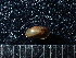  ( - DBLSA_NL361)  @11 [ ] Copyright (2025) Unspecified Nagoya City University, Graduate School of Science