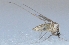  ( - SNM25)  @11 [ ] Copyright (2016) PHCDBS Paul Hebert Centre For DNA Barcoding and Biodiversity Studie
