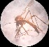  ( - MPR14)  @12 [ ] Unspecified (default): All Rights Reserved  Unspecified Unspecified