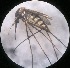  ( - MPR37)  @12 [ ] Unspecified (default): All Rights Reserved  Unspecified Unspecified