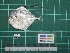  ( - DBMF-M181)  @13 [ ] Unspecified (default): All Rights Reserved  Unspecified Unspecified