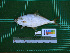  ( - DBMF-M502)  @11 [ ] Unspecified (default): All Rights Reserved  Unspecified Unspecified