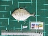  ( - DBMF-M536)  @13 [ ] Unspecified (default): All Rights Reserved  Unspecified Unspecified