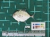  ( - DBMF-M532)  @13 [ ] Unspecified (default): All Rights Reserved  Unspecified Unspecified