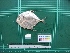  ( - DBMF-M618)  @14 [ ] Unspecified (default): All Rights Reserved  Unspecified Unspecified