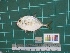  ( - DBMF-M714)  @11 [ ] Unspecified (default): All Rights Reserved  Unspecified Unspecified