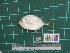  ( - DBMF-M716)  @11 [ ] Unspecified (default): All Rights Reserved  Unspecified Unspecified