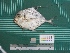  ( - DBMF-M729)  @13 [ ] Unspecified (default): All Rights Reserved  Unspecified Unspecified