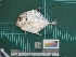  ( - DBMF-M730)  @13 [ ] Unspecified (default): All Rights Reserved  Unspecified Unspecified