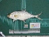 ( - DBMF-M735)  @13 [ ] Unspecified (default): All Rights Reserved  Unspecified Unspecified