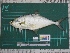  ( - DBMF-M736)  @13 [ ] Unspecified (default): All Rights Reserved  Unspecified Unspecified