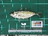  ( - DBMF-M761)  @14 [ ] Unspecified (default): All Rights Reserved  Unspecified Unspecified