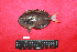  ( - BMF-755.2)  @11 [ ] CreativeCommons  Attribution Non-Commercial Share-Alike (2016) Gino LIMMON Universitas Pattimura
