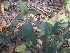  ( - JPTRM-24)  @11 [ ] Copyright (2013) PHCDBS Paul Hebert Centre for DNA Barcoding and Biodiversity Studies