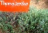  ( - MP4309)  @11 [ ] Copyright (2015) PHCDBS Paul Hebert Centre For DNA Barcoding And Biodiversity Studies