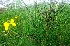  ( - MP4180)  @11 [ ] Copyright (2015) PHCDBS Paul Hebert Centre For DNA Barcoding And Biodiversity Studies