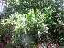  ( - MP4348)  @11 [ ] Copyright (2015) PHCDBS Paul Hebert Centre For DNA Barcoding And Biodiversity Studies