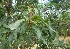 ( - MP4628)  @11 [ ] Copyright (2015) PHCDBS Paul Hebert Centre For DNA Barcoding And Biodiversity Studies