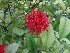 ( - MP1026)  @11 [ ] Copyright (2013) PHCDBS Paul Hebert Centre for DNA Barcoding and Biodiversity Studies
